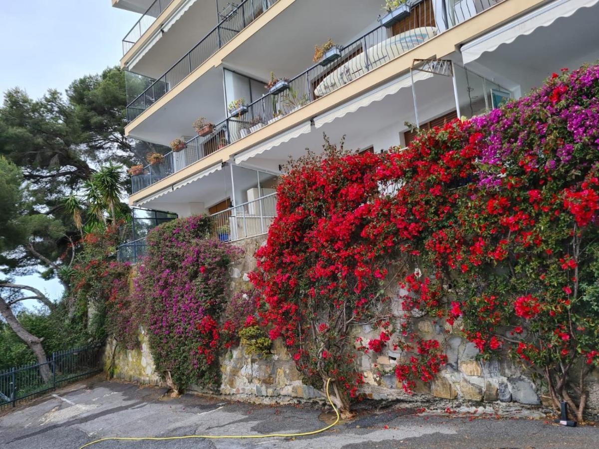 Rocce Di Capo Mimosa - Cervo公寓 外观 照片